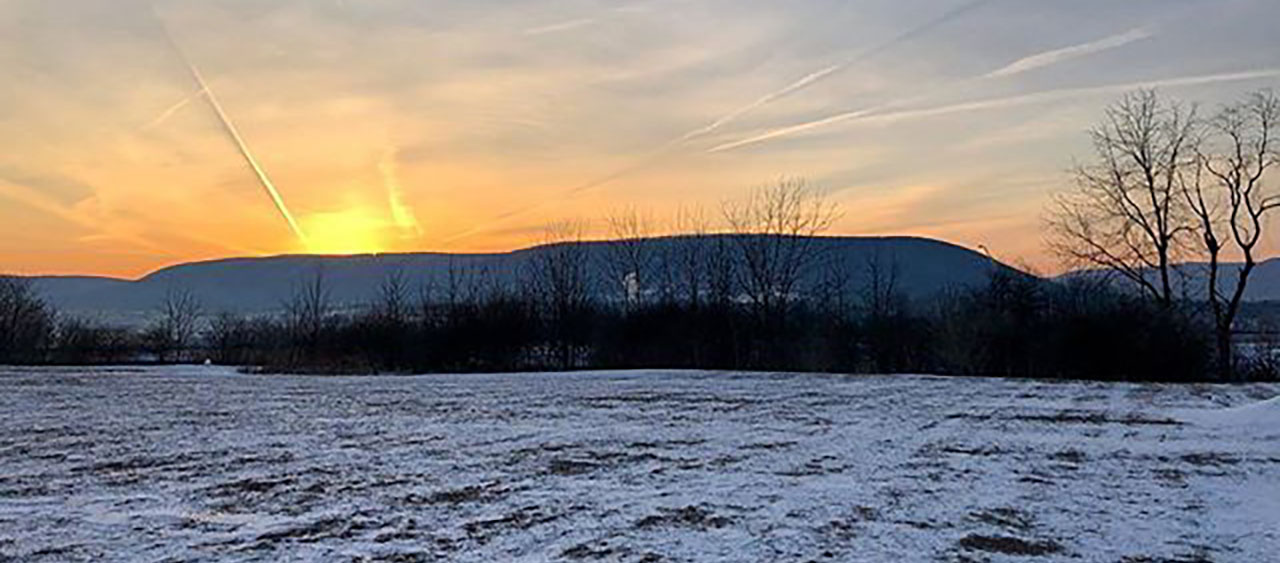 From the Mountain: January 2026